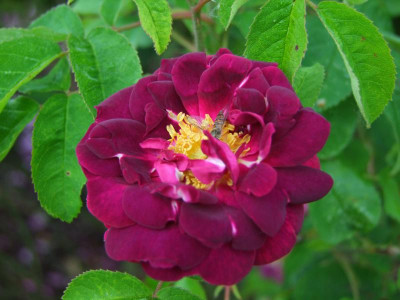 2020_0328EndeJuni0136.JPG