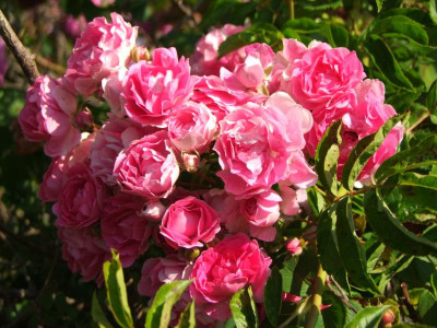 2020_0328EndeJuni0165.JPG