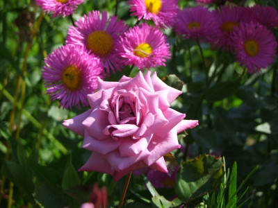 2020_0328EndeJuni0184.JPG