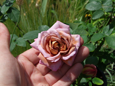 DSCF3973.JPG