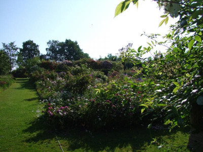 2020_0328EndeJuni0101.JPG