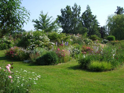 2020_0328EndeJuni0103.JPG