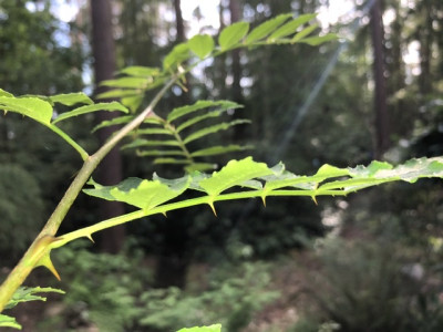 05FE94AA-8DB8-451A-A127-52185B0E098F.jpeg