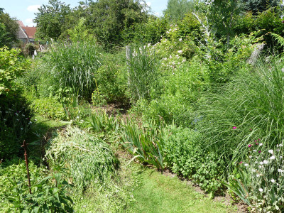 2020-06-27 Garteneinblick 1.jpg
