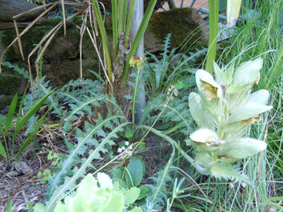 DSCN9702.JPG