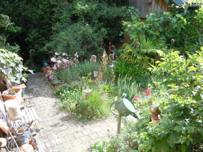 DSCN9650.JPG