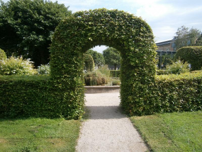 Karlsruhe Schlosspark Aug 17 023.JPG