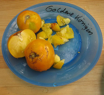 Goldene_Konigin_76671.jpg