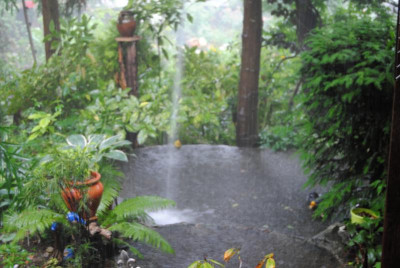DSC_1118.JPG