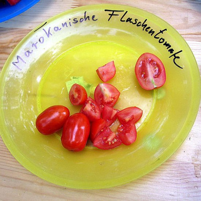 Marokkanische_Flaschentomate_76681.jpg