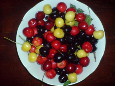 DSC00288.JPG