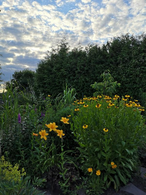 IMG_20200629_201603.jpg