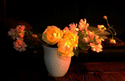 Rosa_Graham_Thomas_und_Phyllis_Bide_1_03-09-2007.jpg