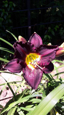 IMG-20200629-WA0006.jpeg