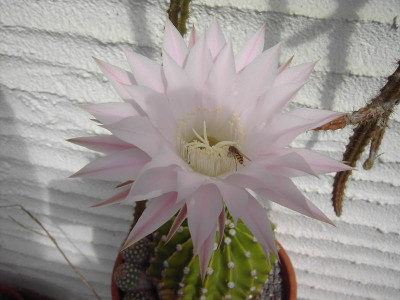 PICT2984.JPG