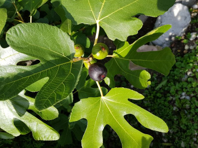 20190914_145637.jpg