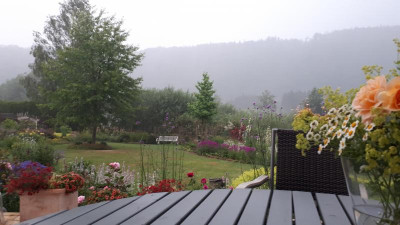 20200701_205542.jpg