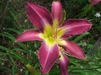 2020_0401JuliAnfang0228.JPG