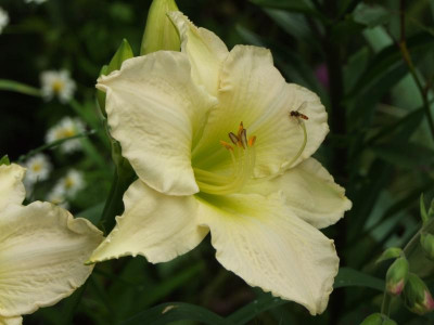 2020_0401JuliAnfang0277.JPG