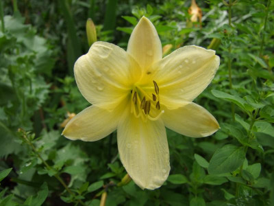 2020_0401JuliAnfang0167.JPG