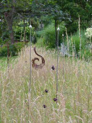 2020-06-30 Allium 'Summer Drummer' 1.jpg