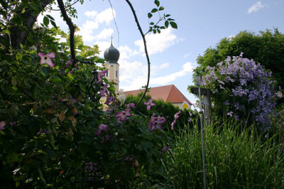 Cl.vit.Minuett_u.Emilia_Plater0107.jpg