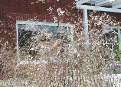 20200703_122647.jpg