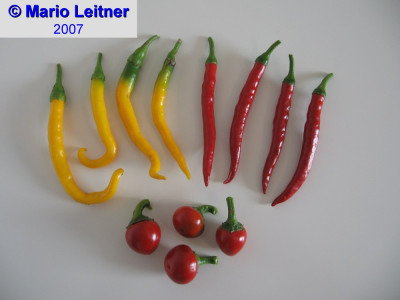comp_Chili-1.jpg