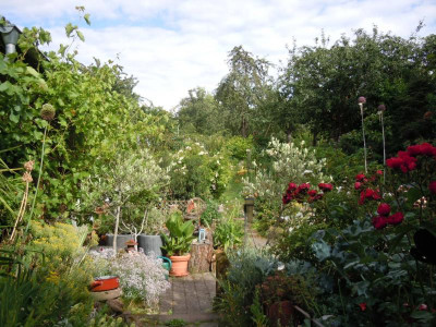 DSCN9710.JPG