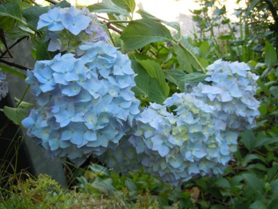 DSCN9743.JPG