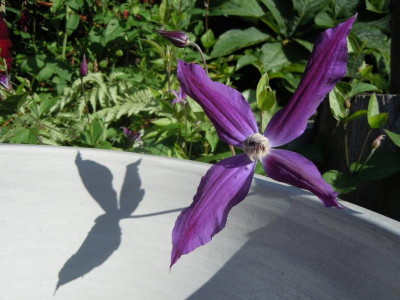DSCN9723.JPG