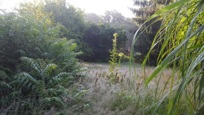 20200703_070145.jpg