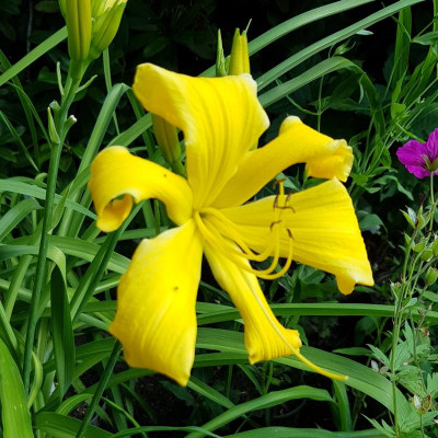 20200704_003824.jpg