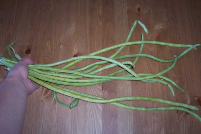 K640_100_4284.JPG