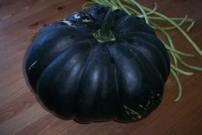K640_100_4286.JPG