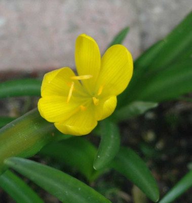 A5373a.JPG