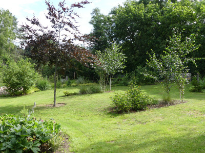 2020-07-04 Birkenhain 2.jpg