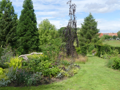 2020-07-04 Birkenhain 5.jpg