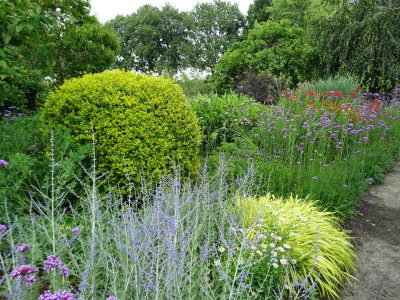 Garten Juli 2020.JPG