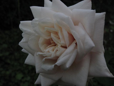 JaquesPorcher-1.jpg