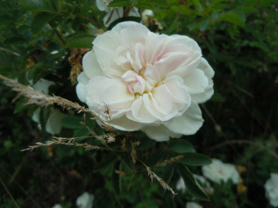 DSCN9776.JPG