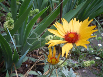 DSCN9781.JPG