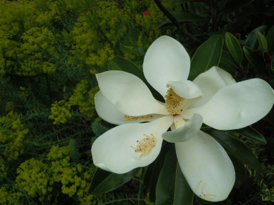 DSCN9777.JPG