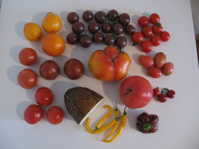 comp_070906_Erntebild_006.jpg