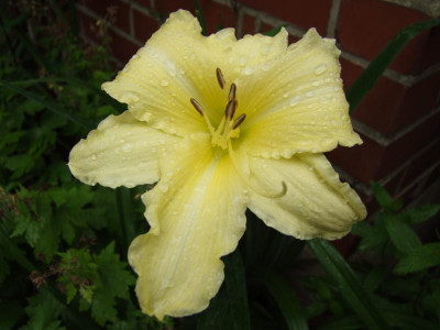 2020_0406JuliSturmtag0010.JPG
