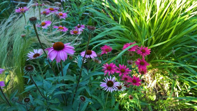 WP_20200705_17_01_47_Pro.jpg