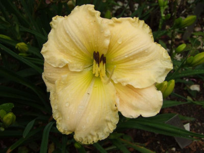 2020_0406JuliSturmtag0124.JPG