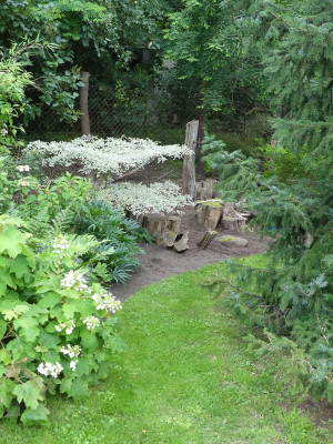 2020-07-05 Garteneinblick 13.jpg