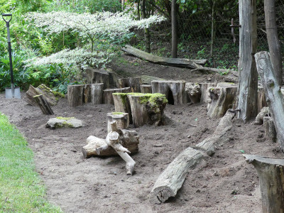 2020-07-05 Garteneinblick 10.jpg