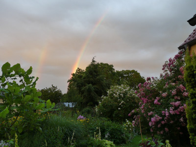 2020-07-05 Garteneinblick 15.jpg
